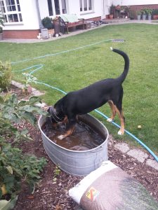 Alle haben mal Durst