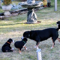 Spielzeit mit Gordi Spielzeit mit Gordi