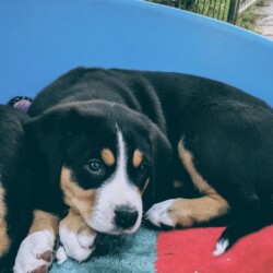 Endlich Pause... Endlich Pause...