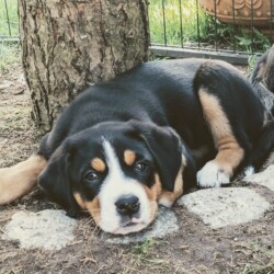 Ich habe meinen Platz gefunden! Ich habe meinen Platz gefunden!