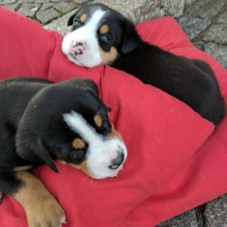 In der Sonne lässt es sich gut träumen. In der Sonne lässt es sich gut träumen.