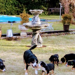 Spielen mit Tante Gordi am Brunnen Spielen mit Tante Gordi am Brunnen