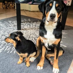 Frida und ein Freund Frida und ein Freund