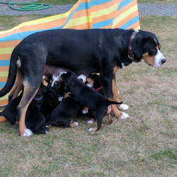An der Milchbar schmeckt es immer noch. An der Milchbar schmeckt es immer noch.