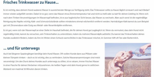 Hunde trinken Hunde trinken